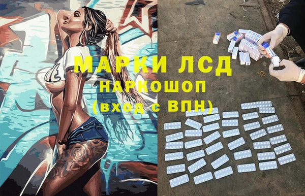 хмурый Гусь-Хрустальный