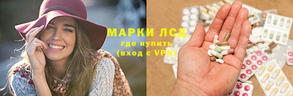 хмурый Гусь-Хрустальный