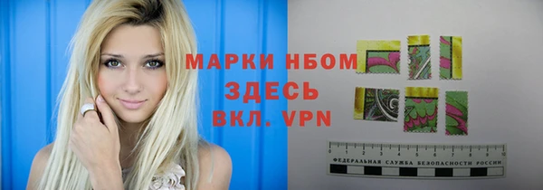 хмурый Гусь-Хрустальный