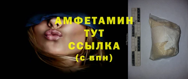 хмурый Гусь-Хрустальный