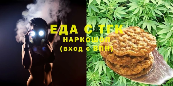 хмурый Гусь-Хрустальный