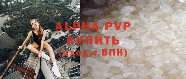 хмурый Гусь-Хрустальный