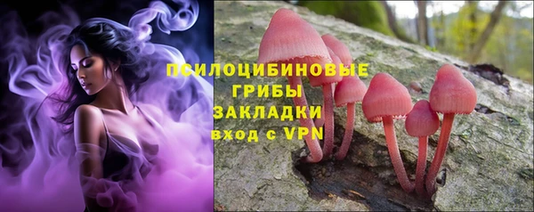 меф Гусев