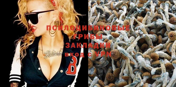 хмурый Гусь-Хрустальный